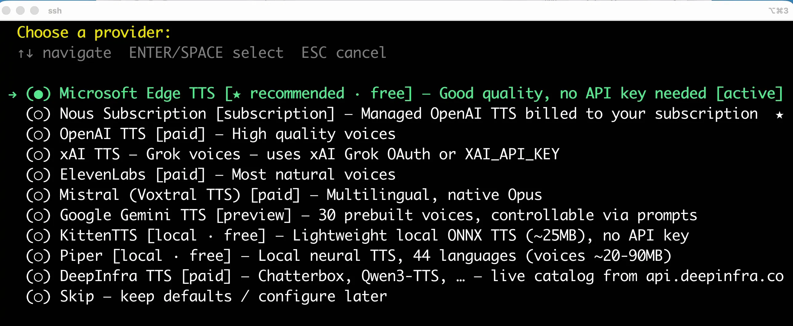 The complete text-to-speech provider screen with Microsoft Edge TTS selected.