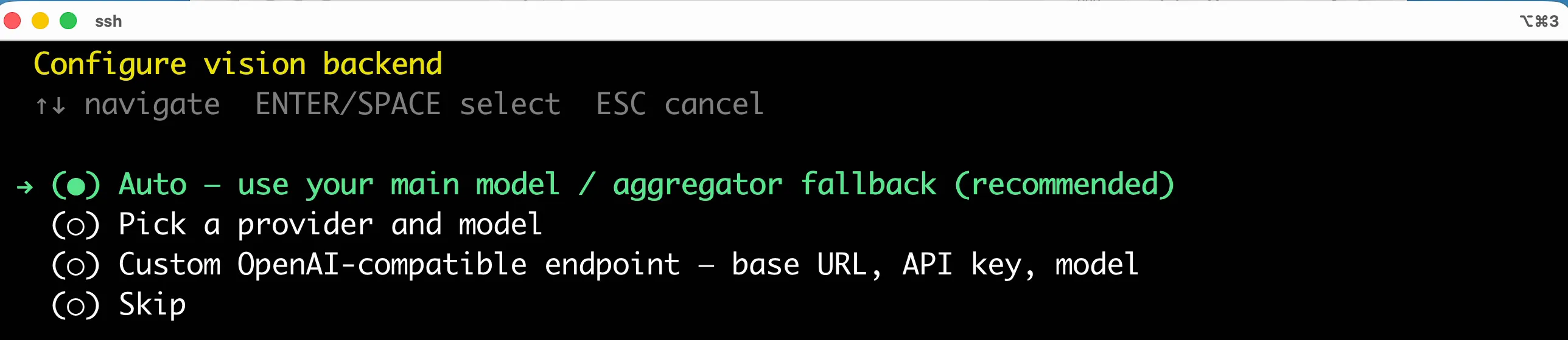 The complete vision-backend screen with Auto selected.