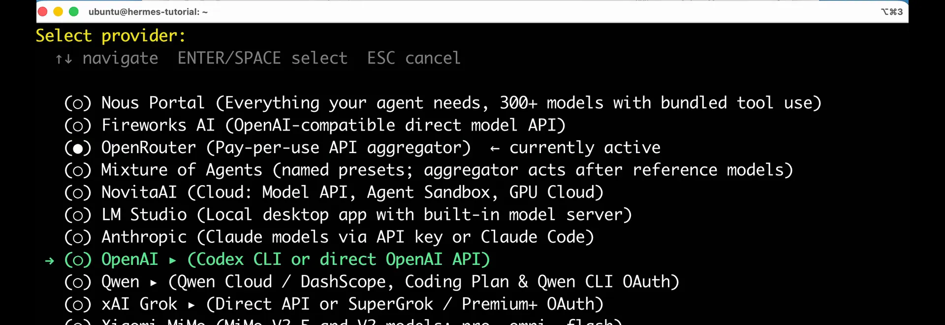 The Hermes Agent provider screen with OpenAI highlighted.