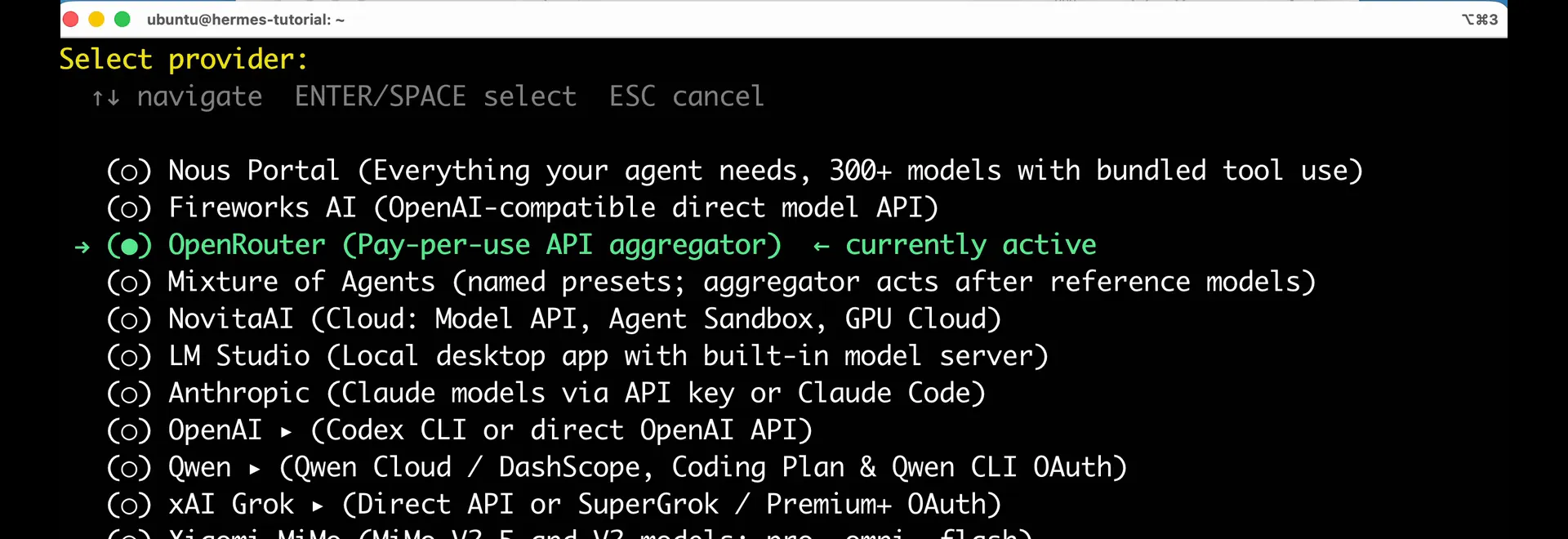The Hermes Agent provider screen with OpenRouter highlighted.