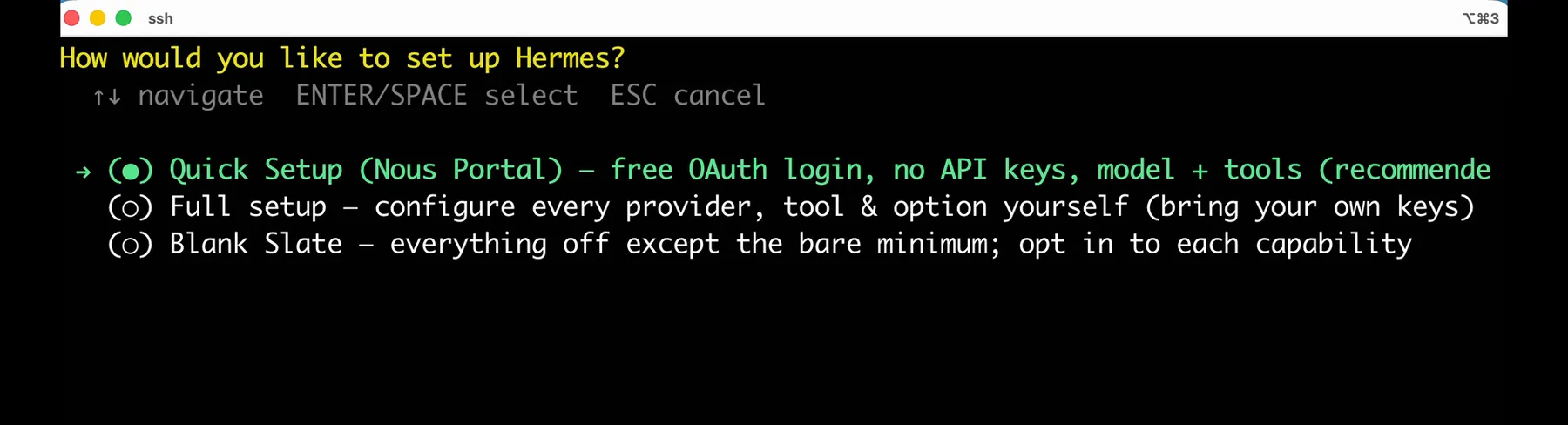 The Hermes Agent setup screen in the terminal, showing Quick Setup through Nous Portal, Full setup, and Blank Slate. Quick Setup is selected and Full setup appears directly below it.