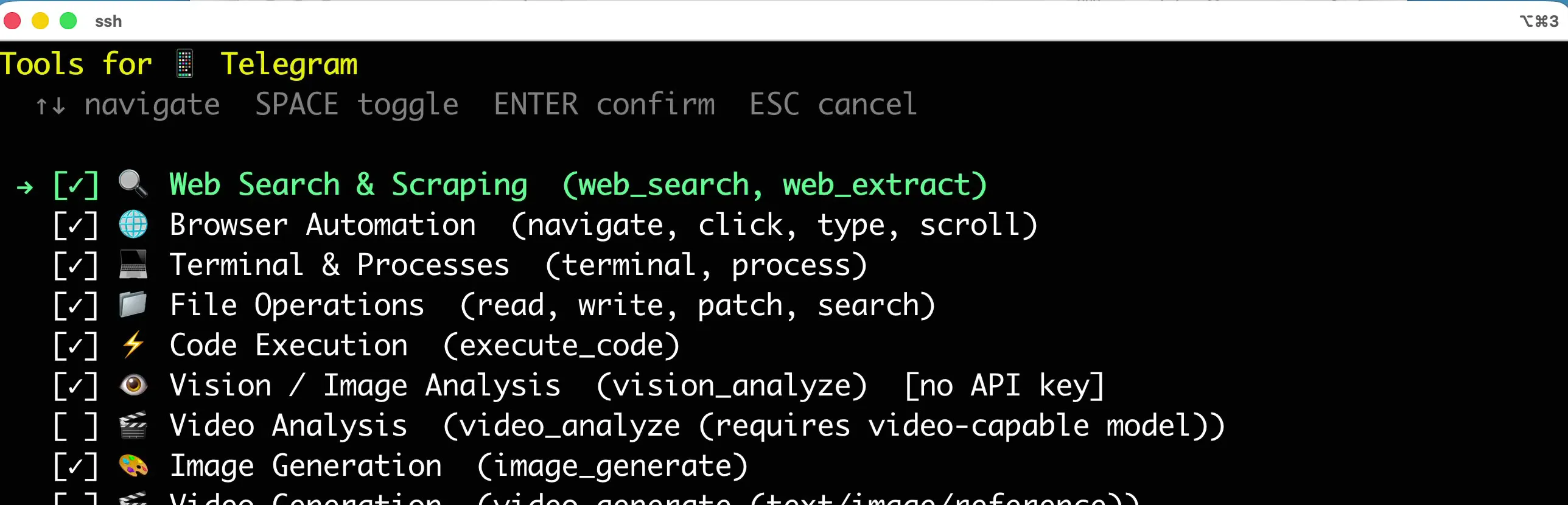 The wider top of the Tools for Telegram checklist, with the checked web, browser, terminal, file, and code groups visible.
