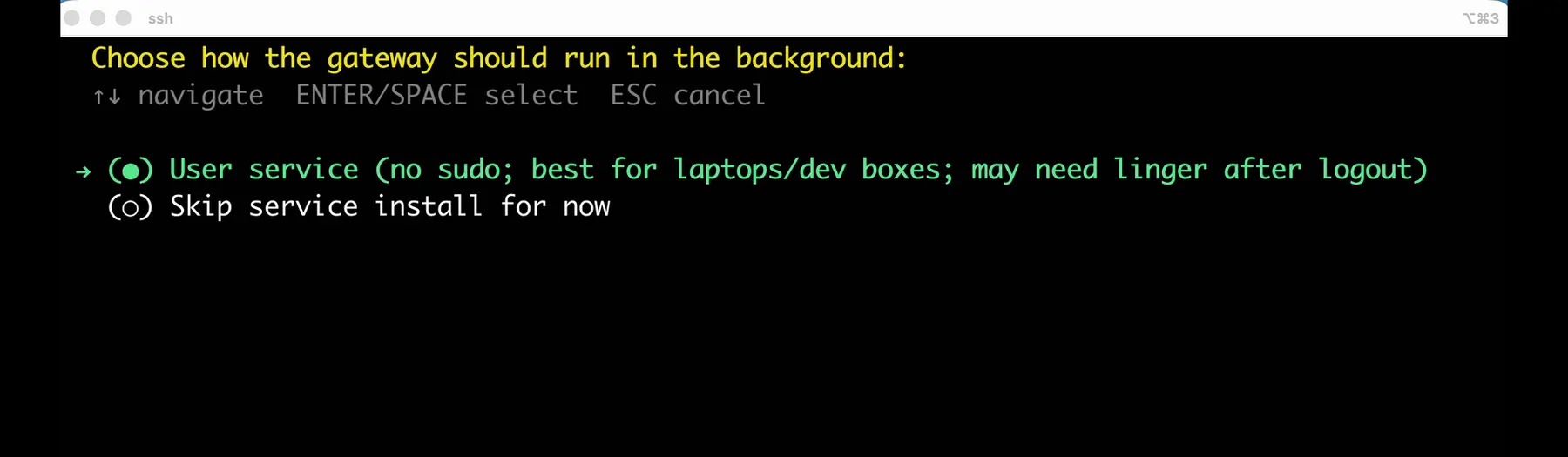The complete Hermes Agent terminal window at the background-gateway choice, with User service selected above Skip service install for now.